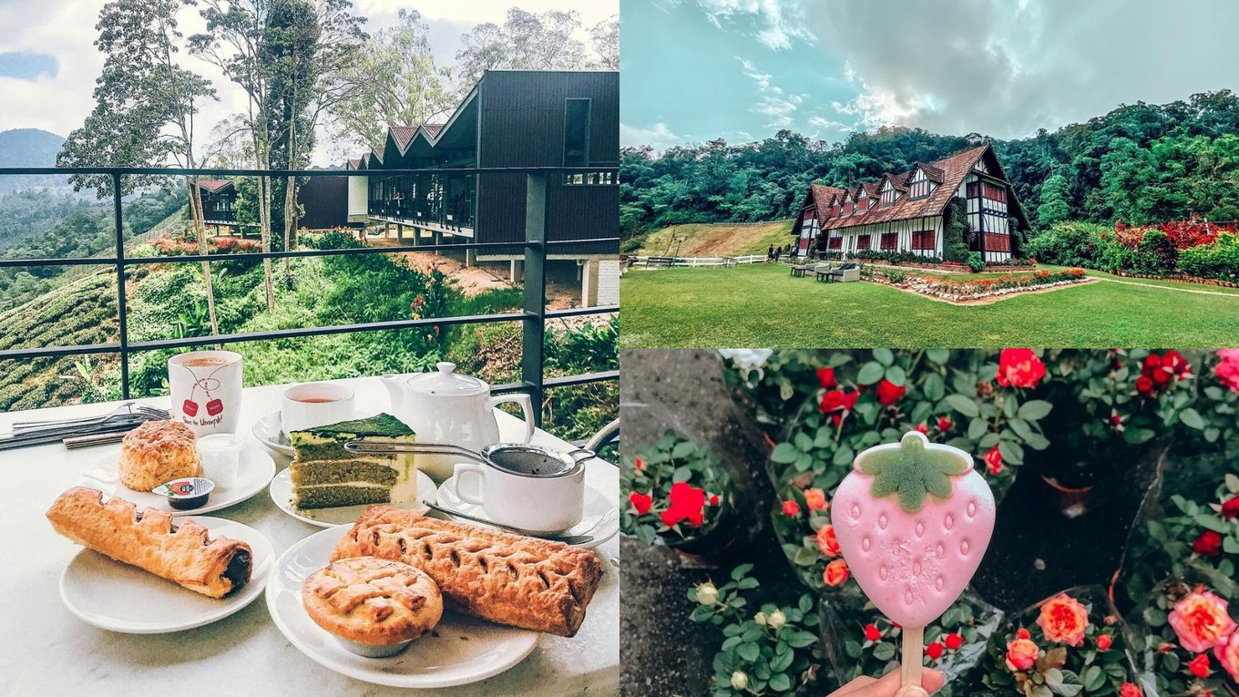  things to do in cameron highlands