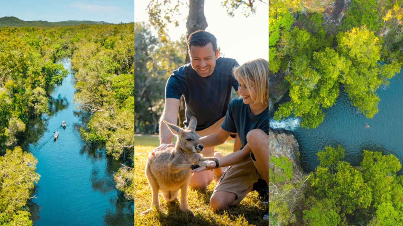 Noosa Everglades | Credits to Tourism and Events Queensland; Australia Zoo | Credits to Visit Sunshine Coast; Kondalilla Falls| Credits to Visit Sunshine Coast 
