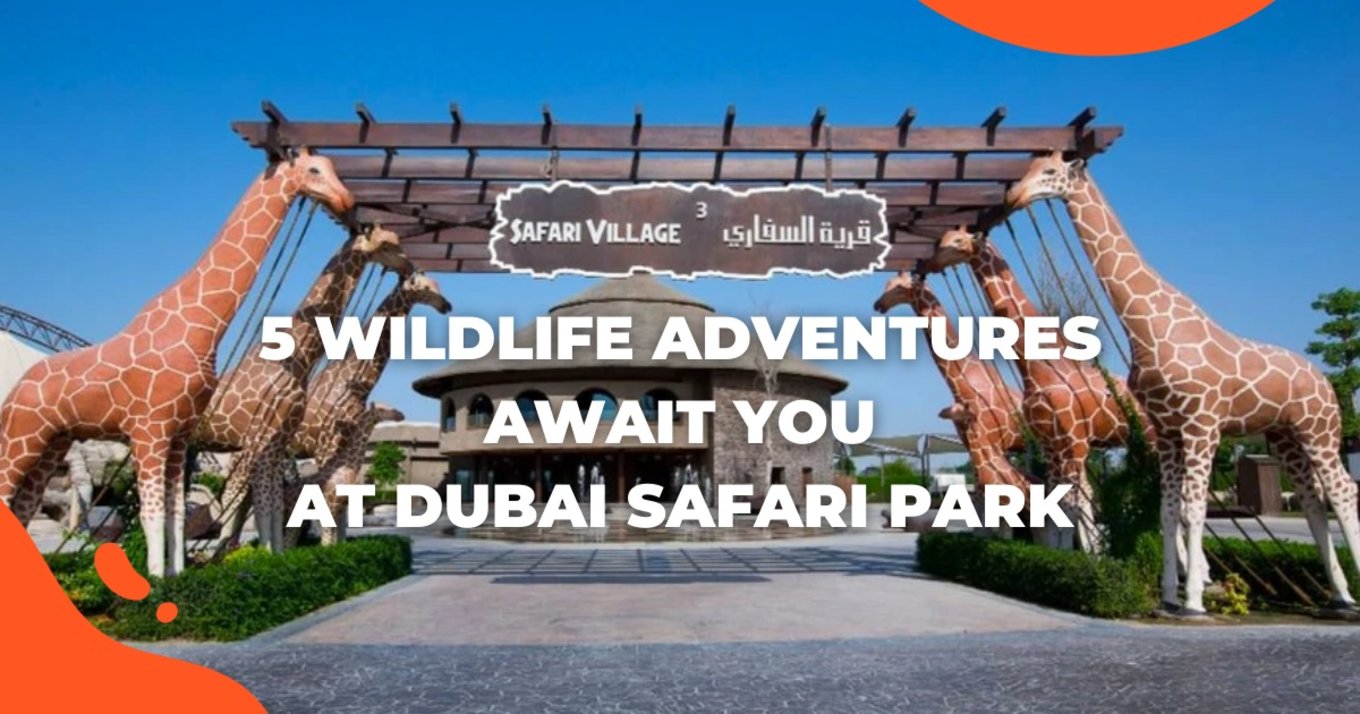 dubai safari park instagram