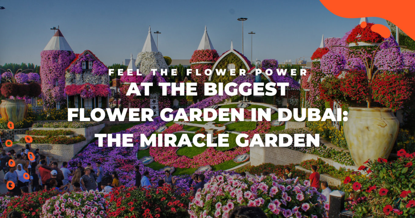 Dubai The Miracle Garden