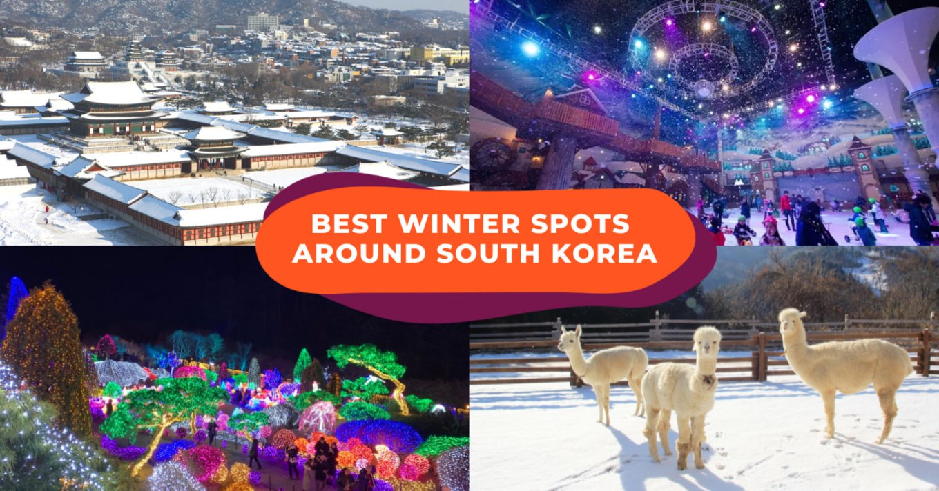 korea winter spots cover image