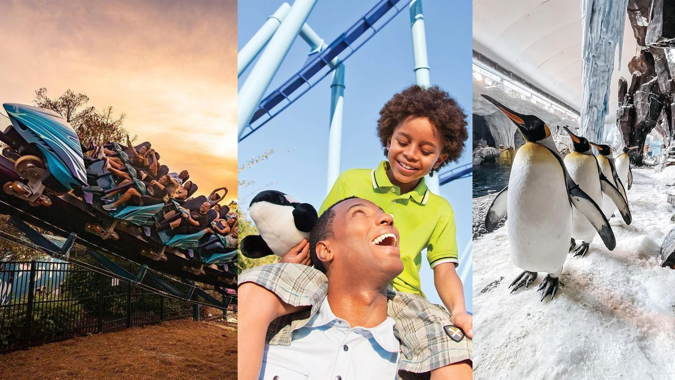 nothingbutcoasters, seaworldorlando, and seaworldorlando