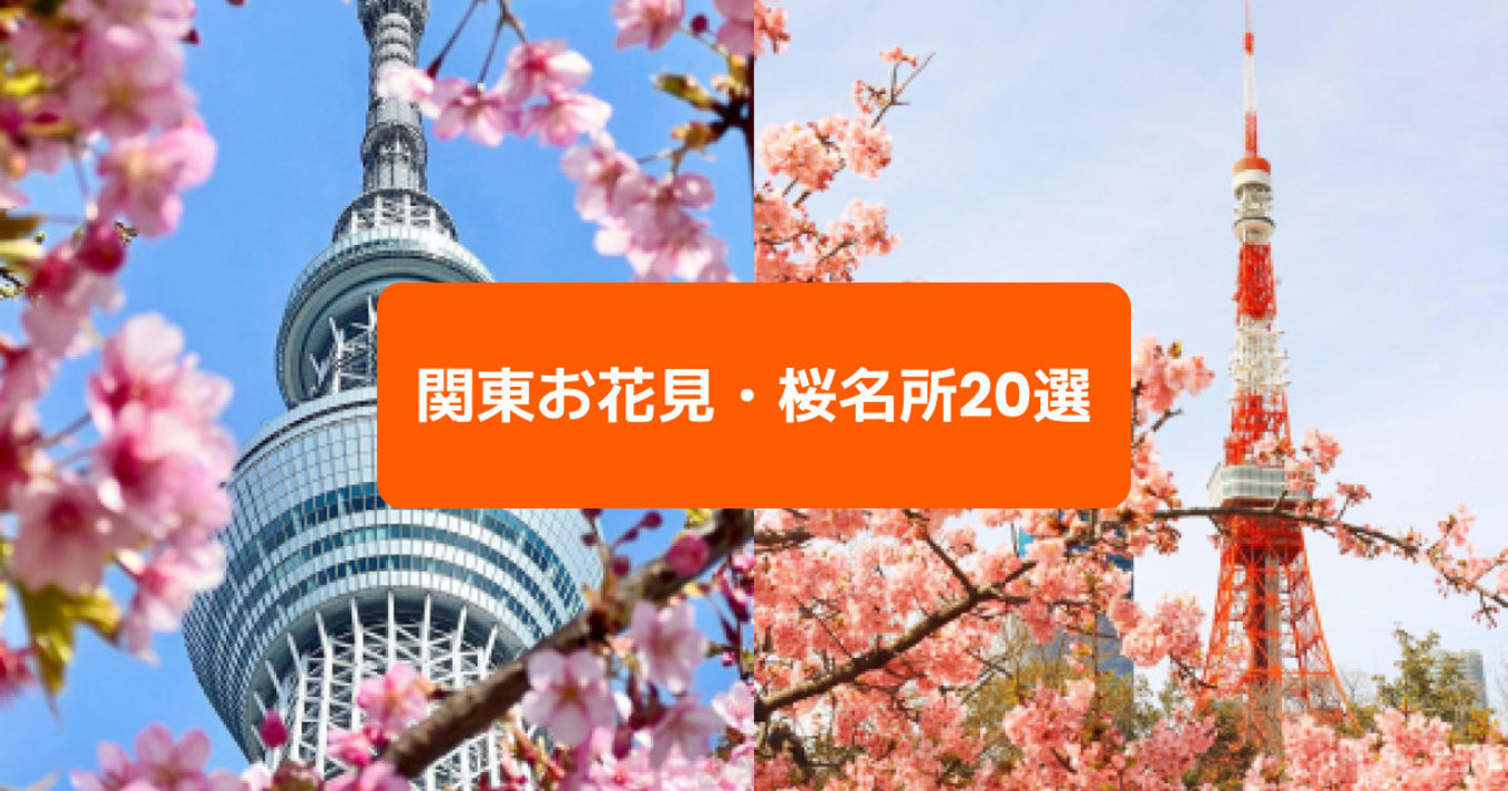 関東お花見・桜名所20選 東京タワーと東京スカイツリーが桜と写っている