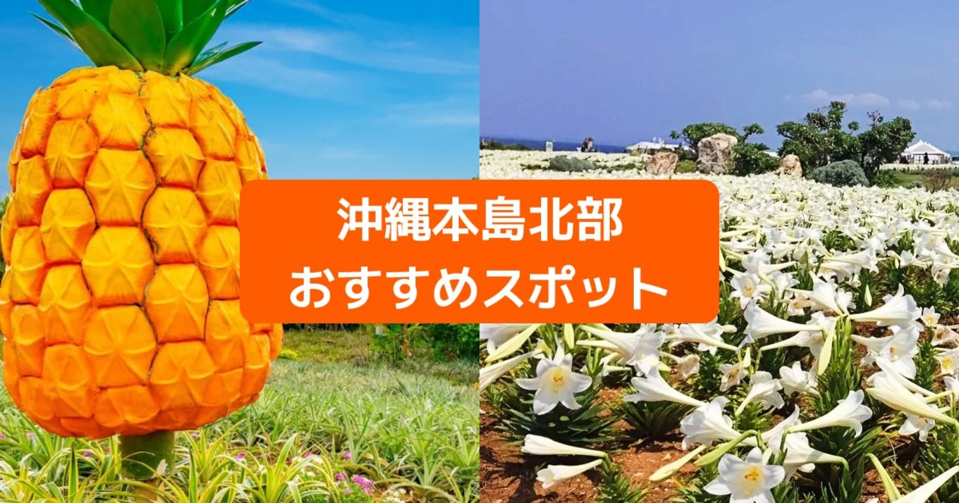 沖縄北部で観光するなら？｜定番から穴場までおすすめ観光スポット9選