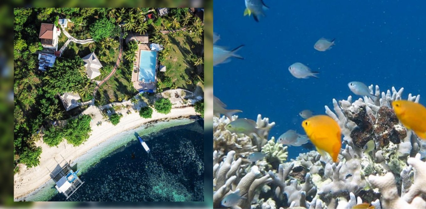 Beach resorts with fishes and corals