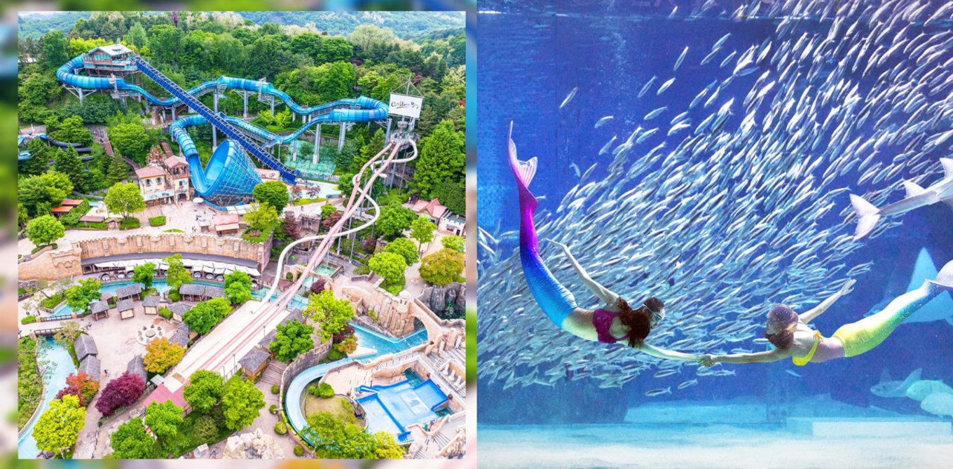Everland Korea Top View and Two mermaid swimming