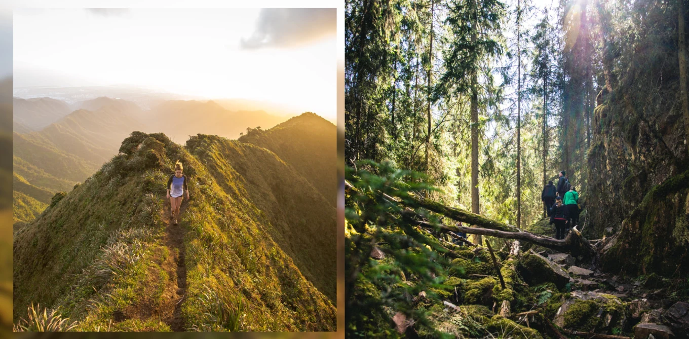 Mountain top and hiking trail