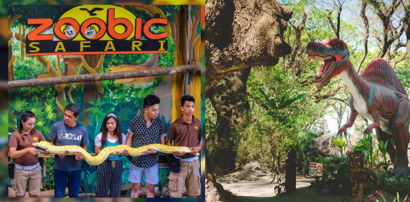 Group of tourist holding big python and a dinosaur park