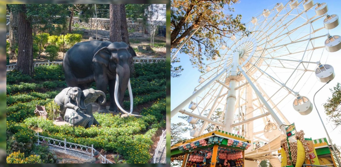 Elephant statue and a ferris wheel