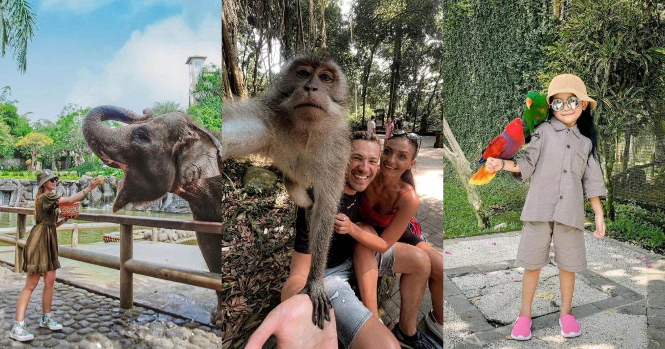 Image credits:  @missrtii, @kalula.santoso, and @influencerovi & @buresmarek on Instagram