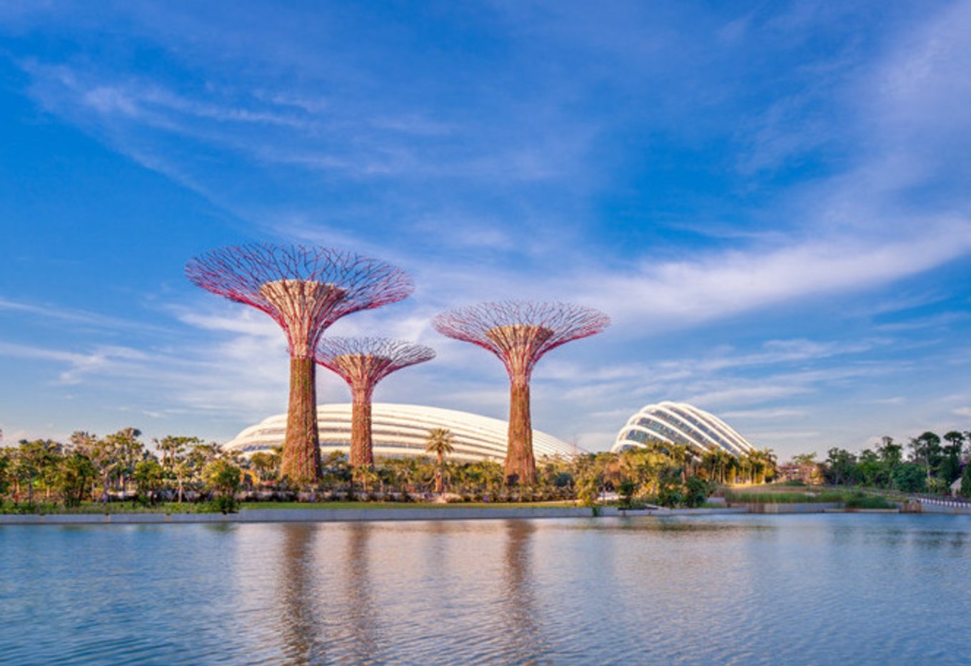 新加坡景點濱海灣花園