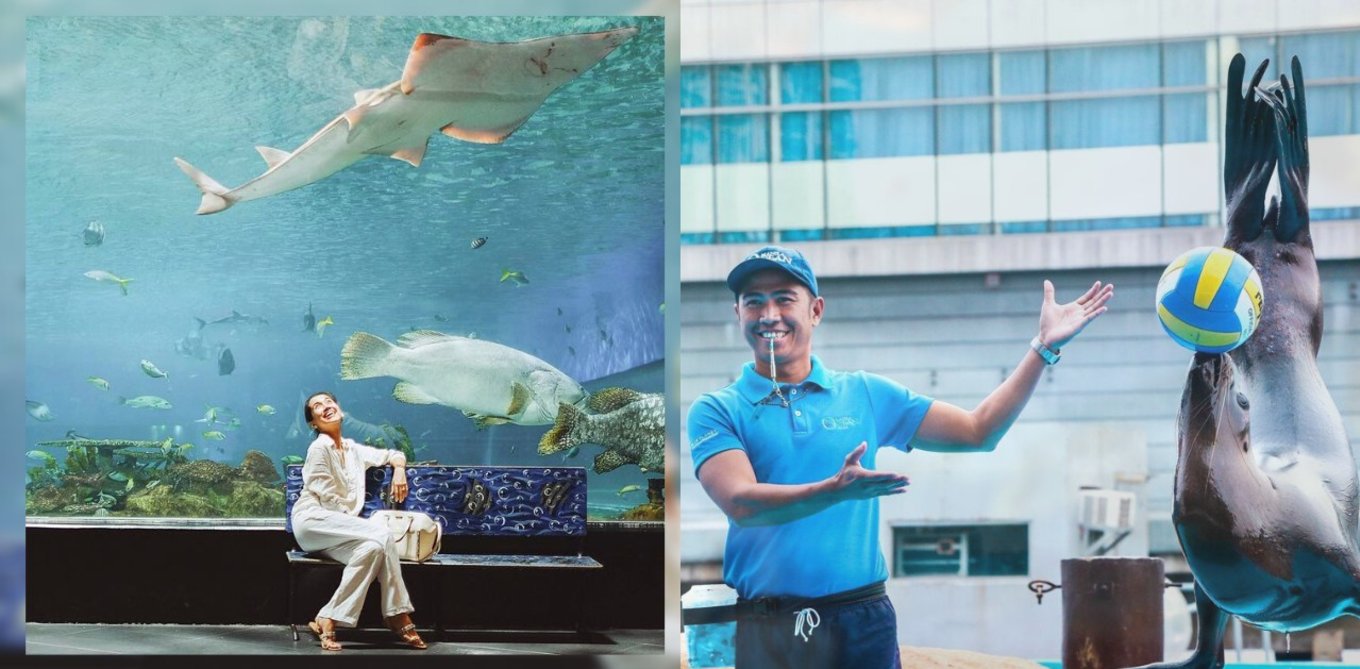 Girl under the Oceanarium and an Instructor with his Sea Lion