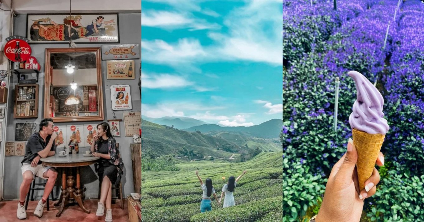 Things to do in cameron highlands