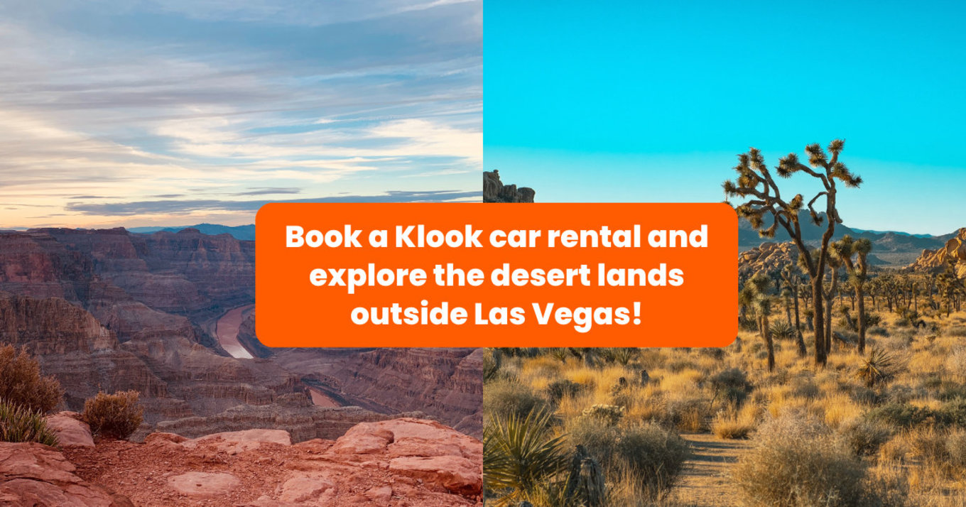 9 Places to Visit on a Las Vegas Desert Road Trip banner