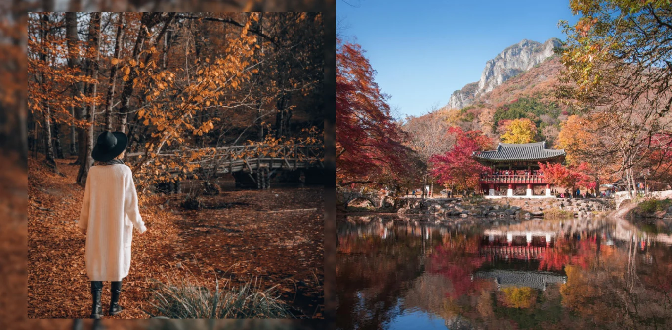 woman and temple in korea in autumn