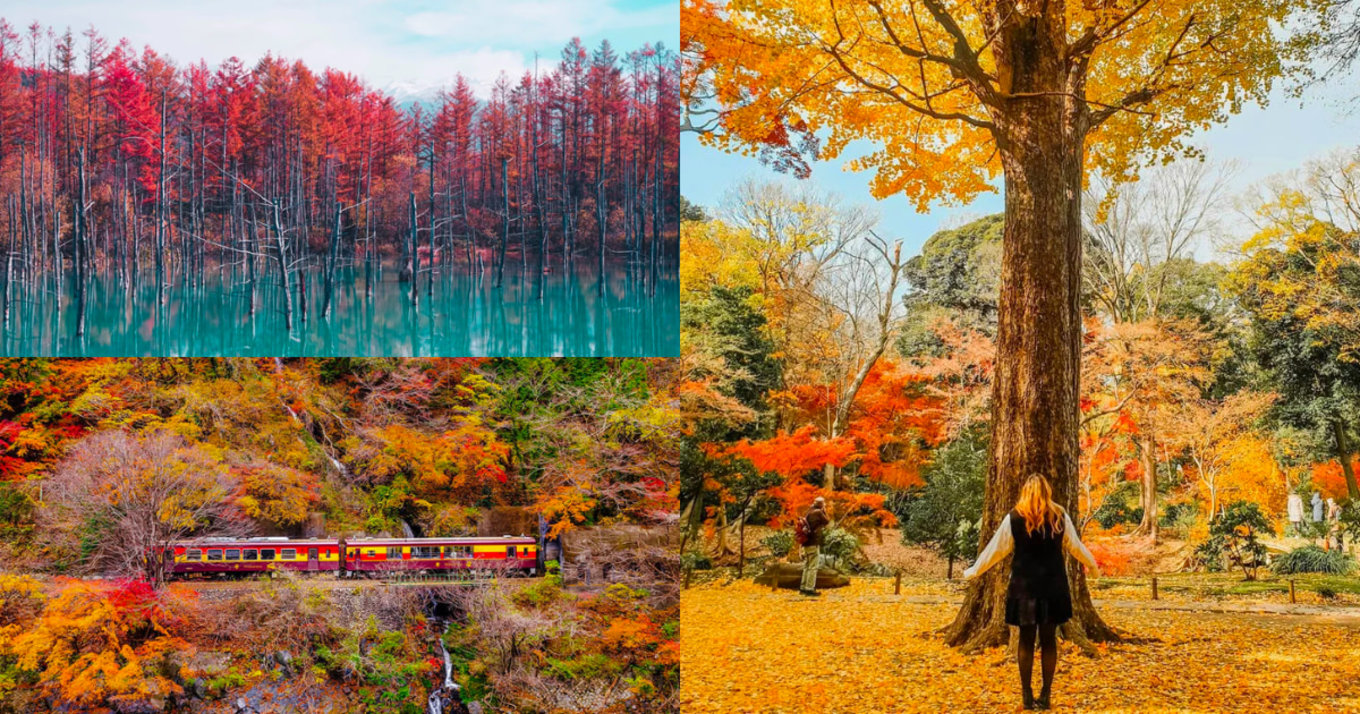 japan autumn foliage 2022