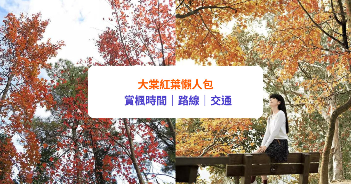 大棠紅葉懶人包 賞楓時間｜路線｜交通