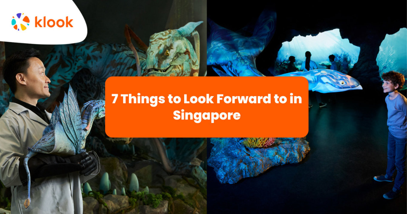 7 Things to Look Forward to in Singapore banner most recent