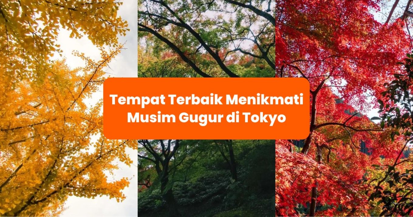 Tempat Wisata Musim Gugur Tokyo - Blog Cover ID