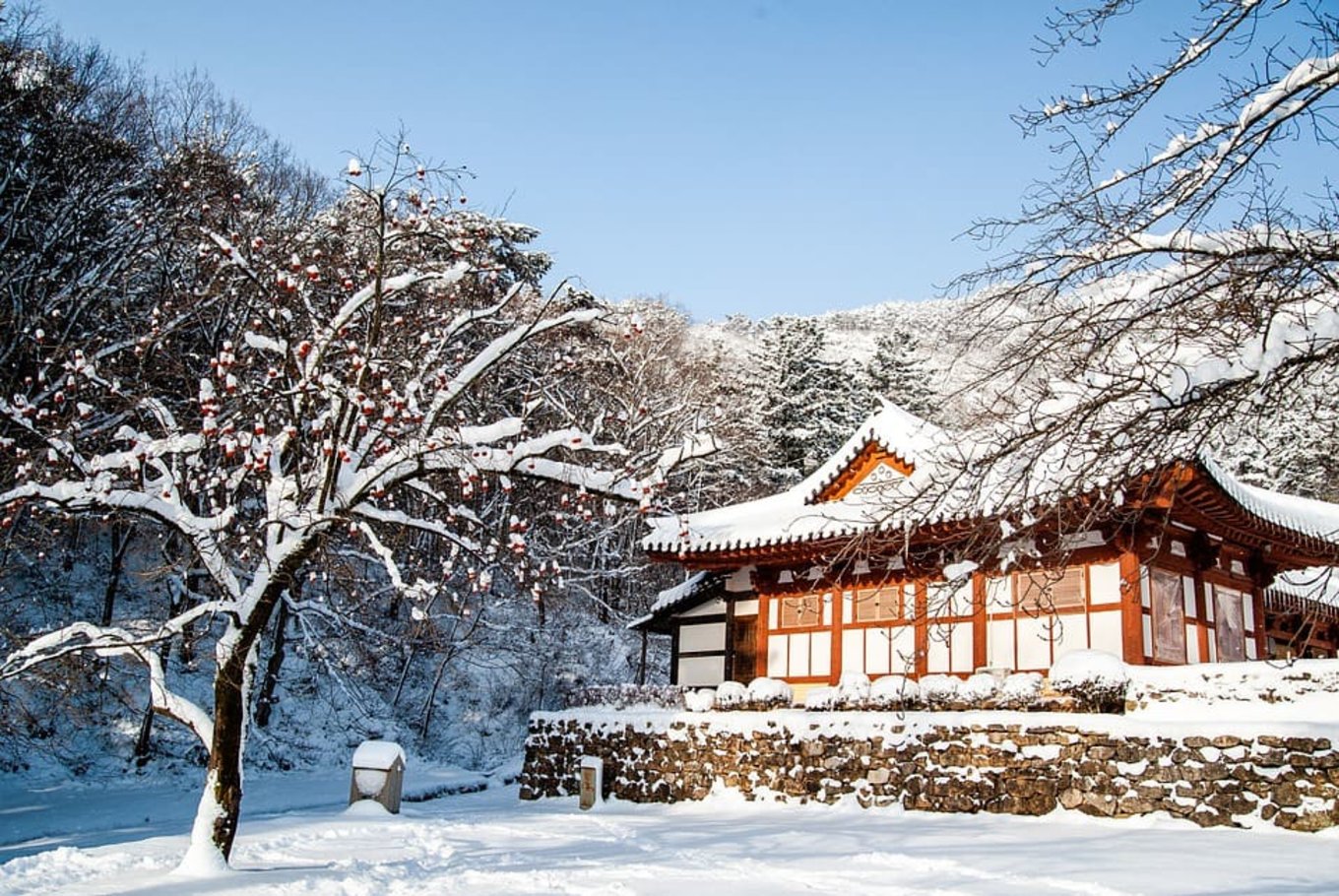 ปักหมุดที่เที่ยวเกาหลีใต้ช่วงหน้าหนาว