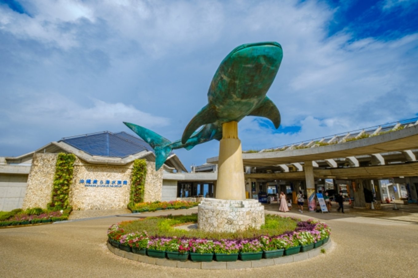 沖縄　美ら海水族館
