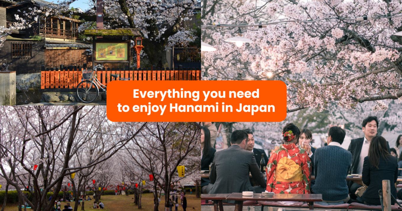 how to hanami cover image