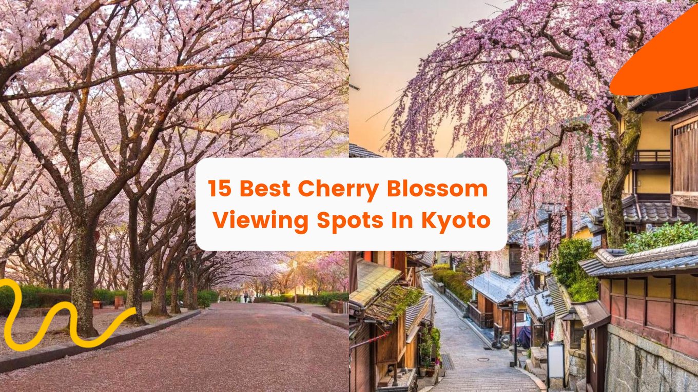15 best cherry blossom viewing spots in Kyoto