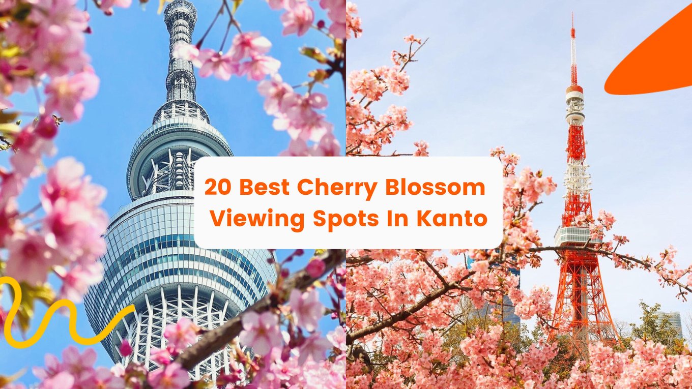20 Best Cherry Blossom Viewing Spots In Kanto Japan