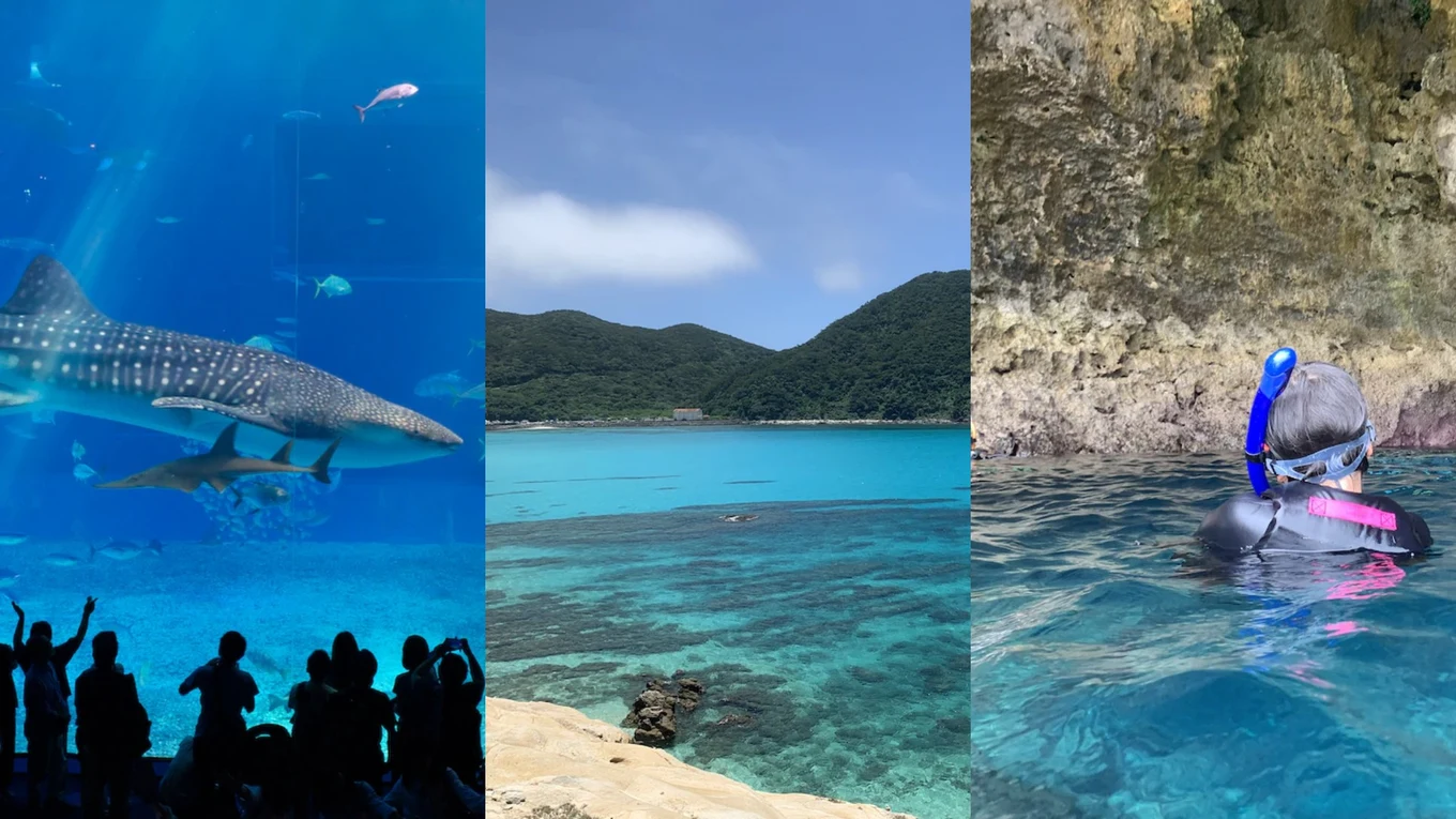 things to do okinawa japan collage