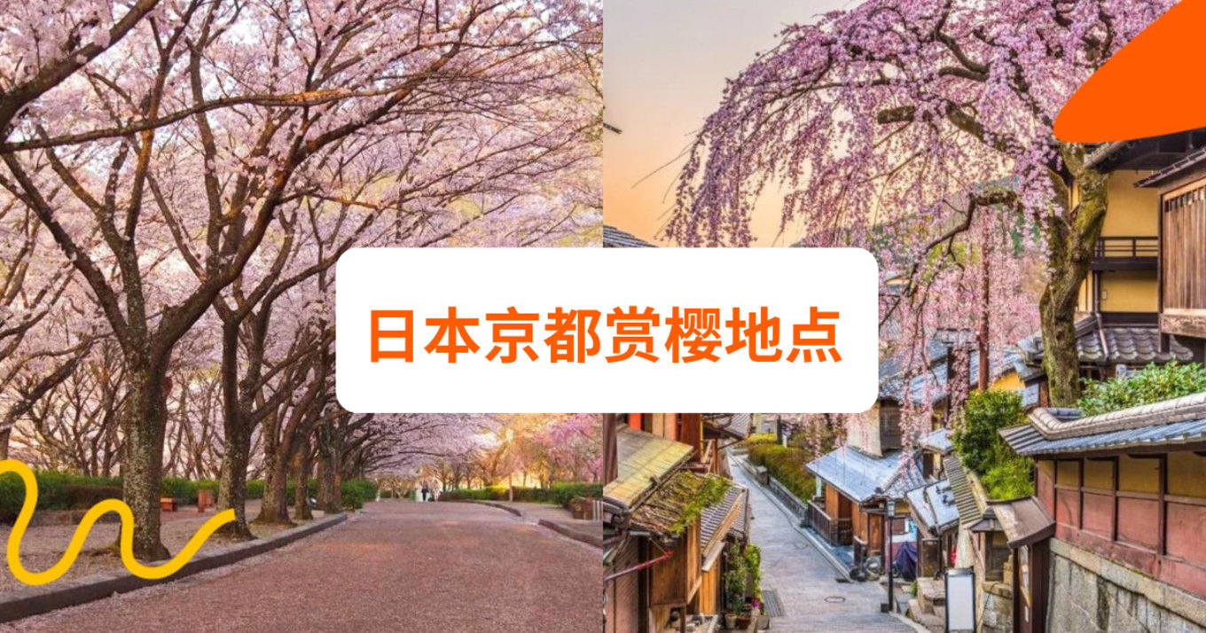 日本京都赏樱地点