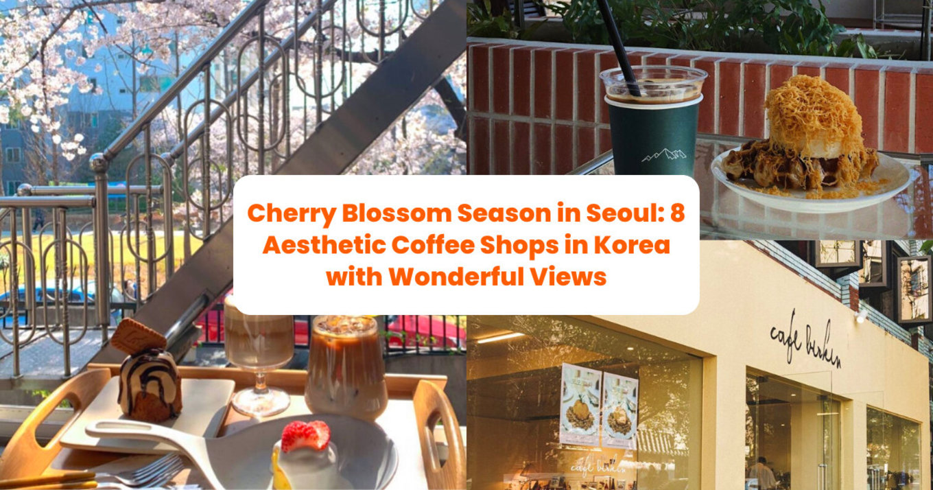 Aesthetic coffee shops with cherry blossoms view