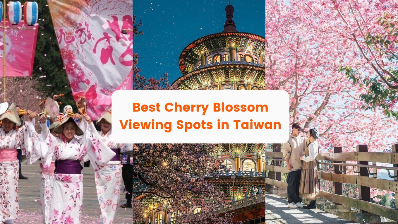 Cherry Blossom Viewing Spots In Taiwan Cherry Blossom Forecast 2023