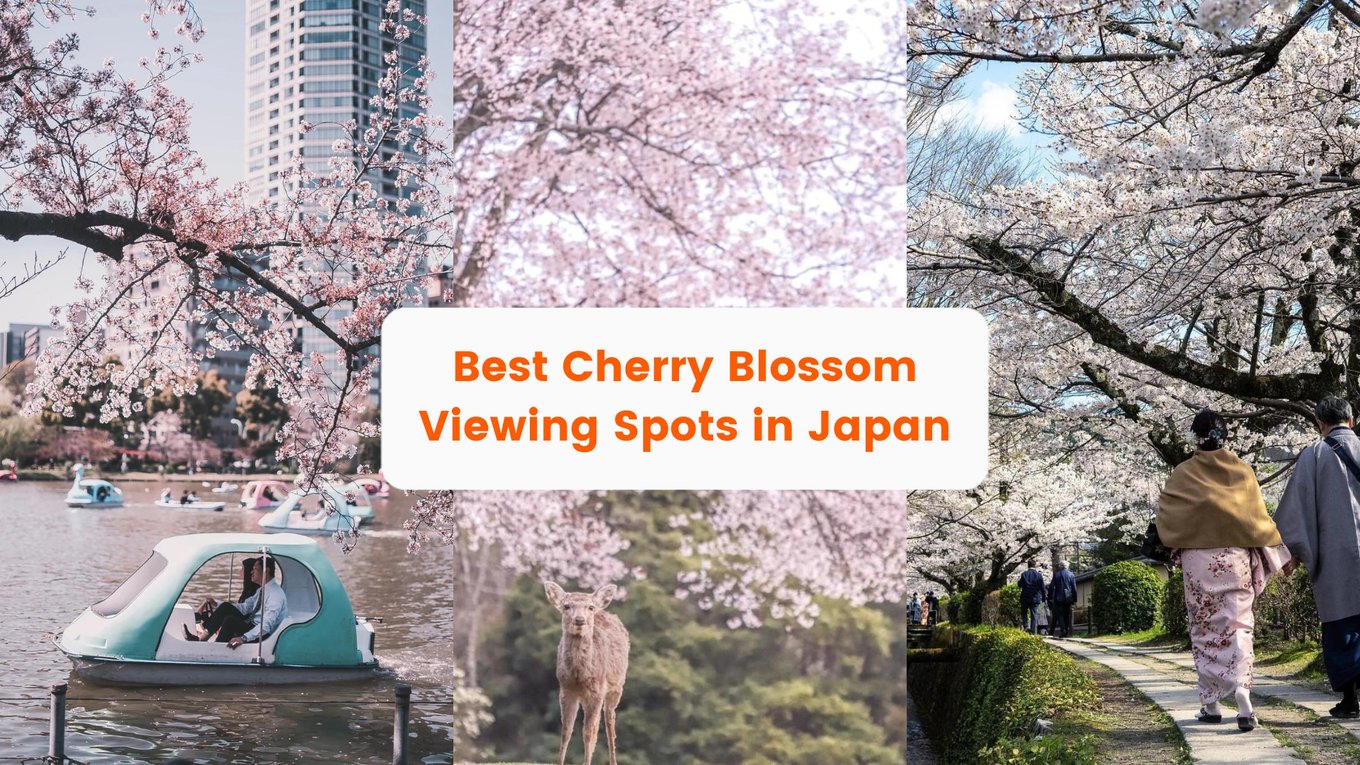 Cherry Blossom Viewing Spots In Japan Cherry Blossom Forecast 2023