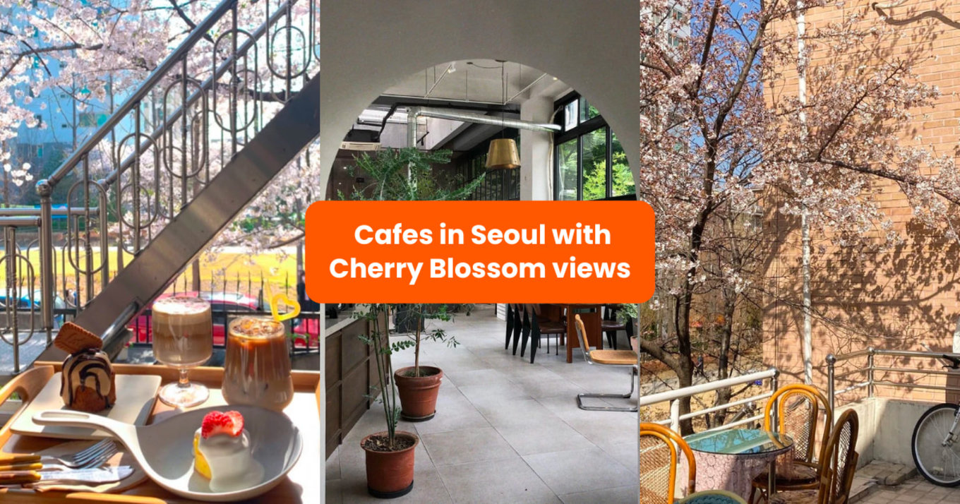 cafes in seoul with cherry blossom views