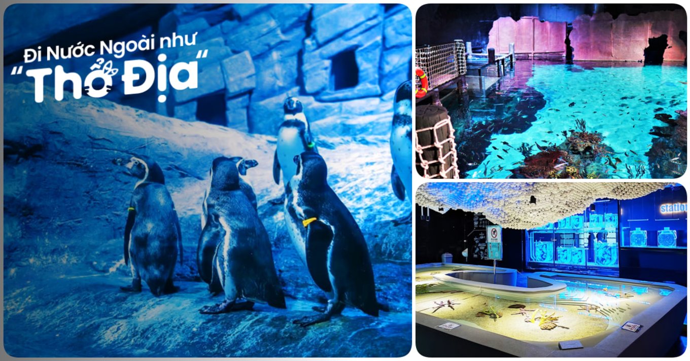 Aquaria Phuket Thái Lan