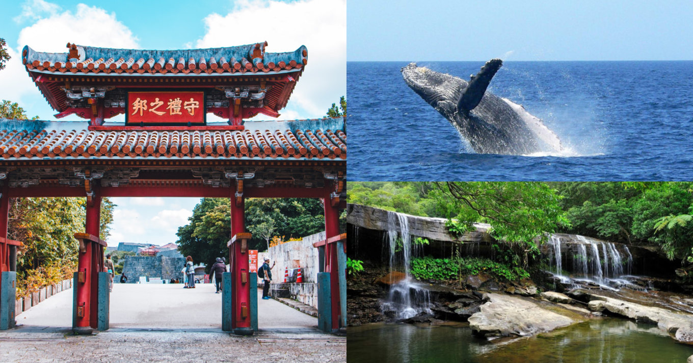 6 reasons to travel to okinawa