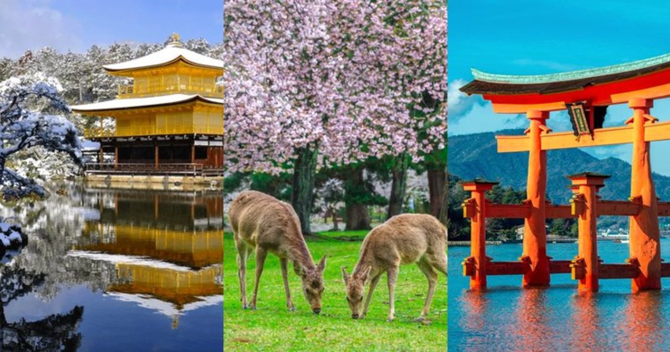 22 Day Trips from Osaka Including Naruto Whirlpool, Sunflower Fields &  Free-Roaming Deers - Klook Travel Blog