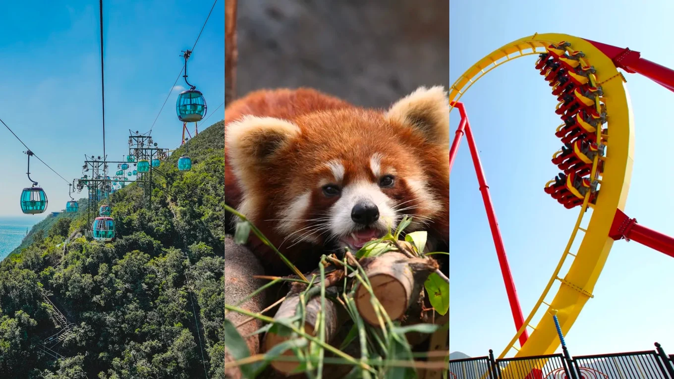 collage of ocean park hong kong attractions