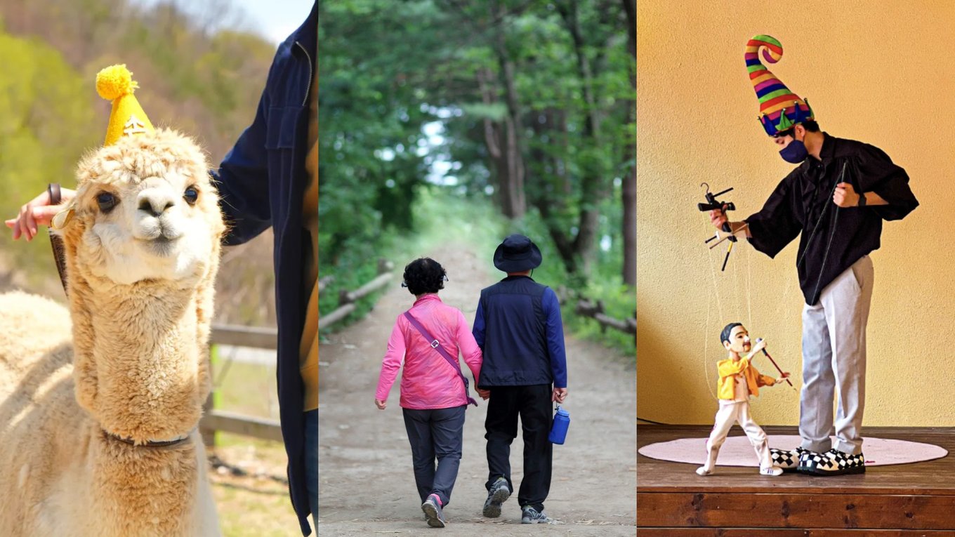 collage of nami island day trip itinerary