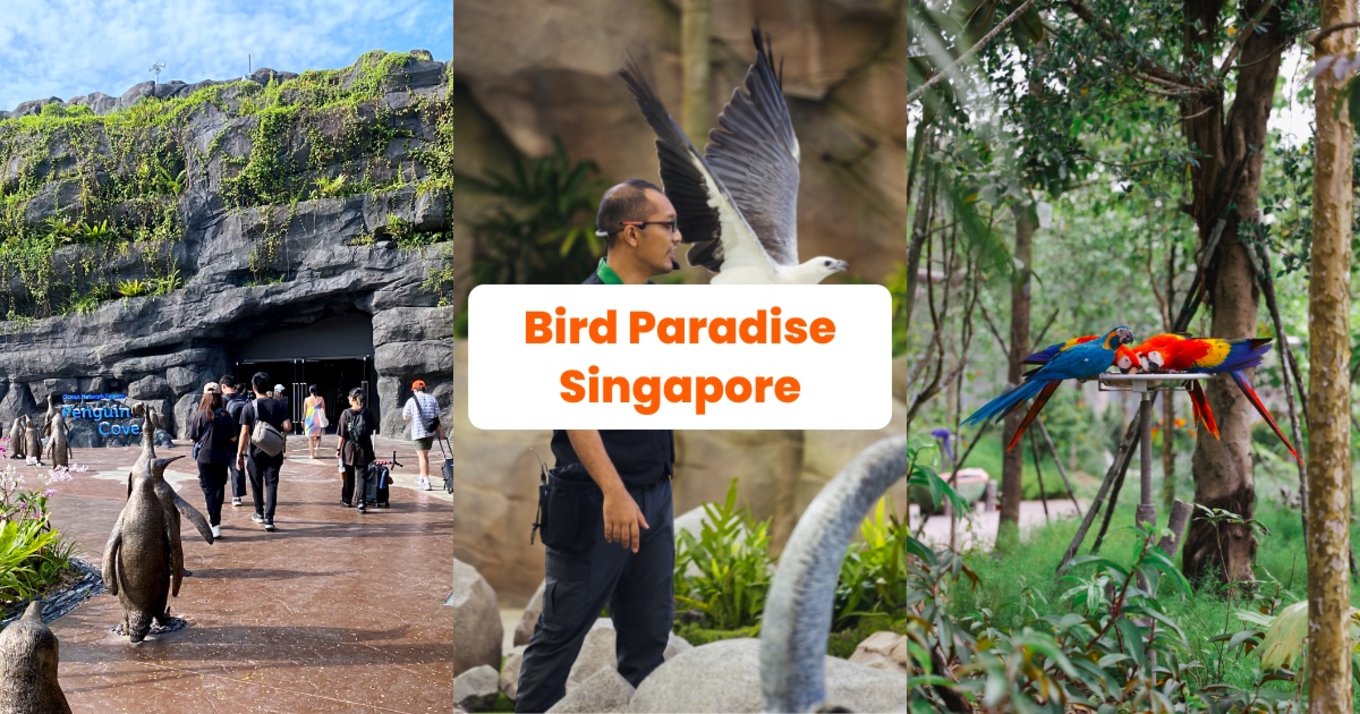Bird Paradise Singapore - Blog Cover ID