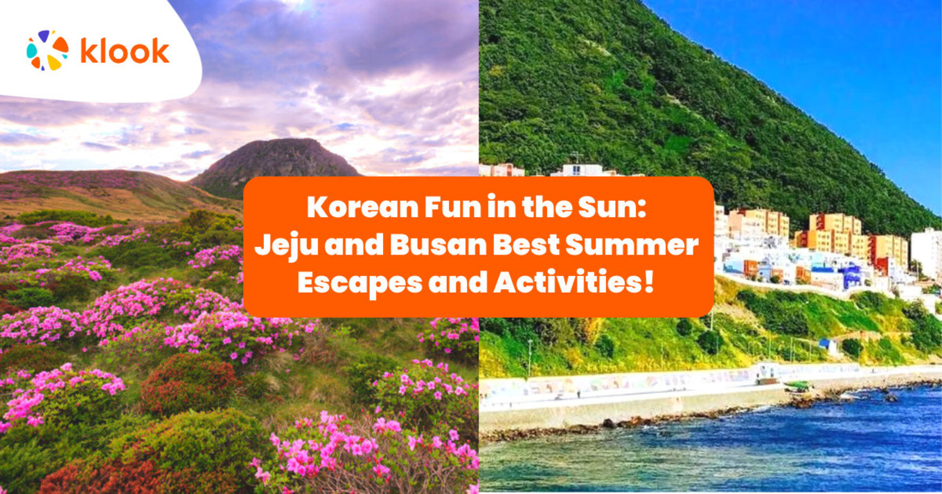 Jeju and Busan Best Summer Escapes and Activities!