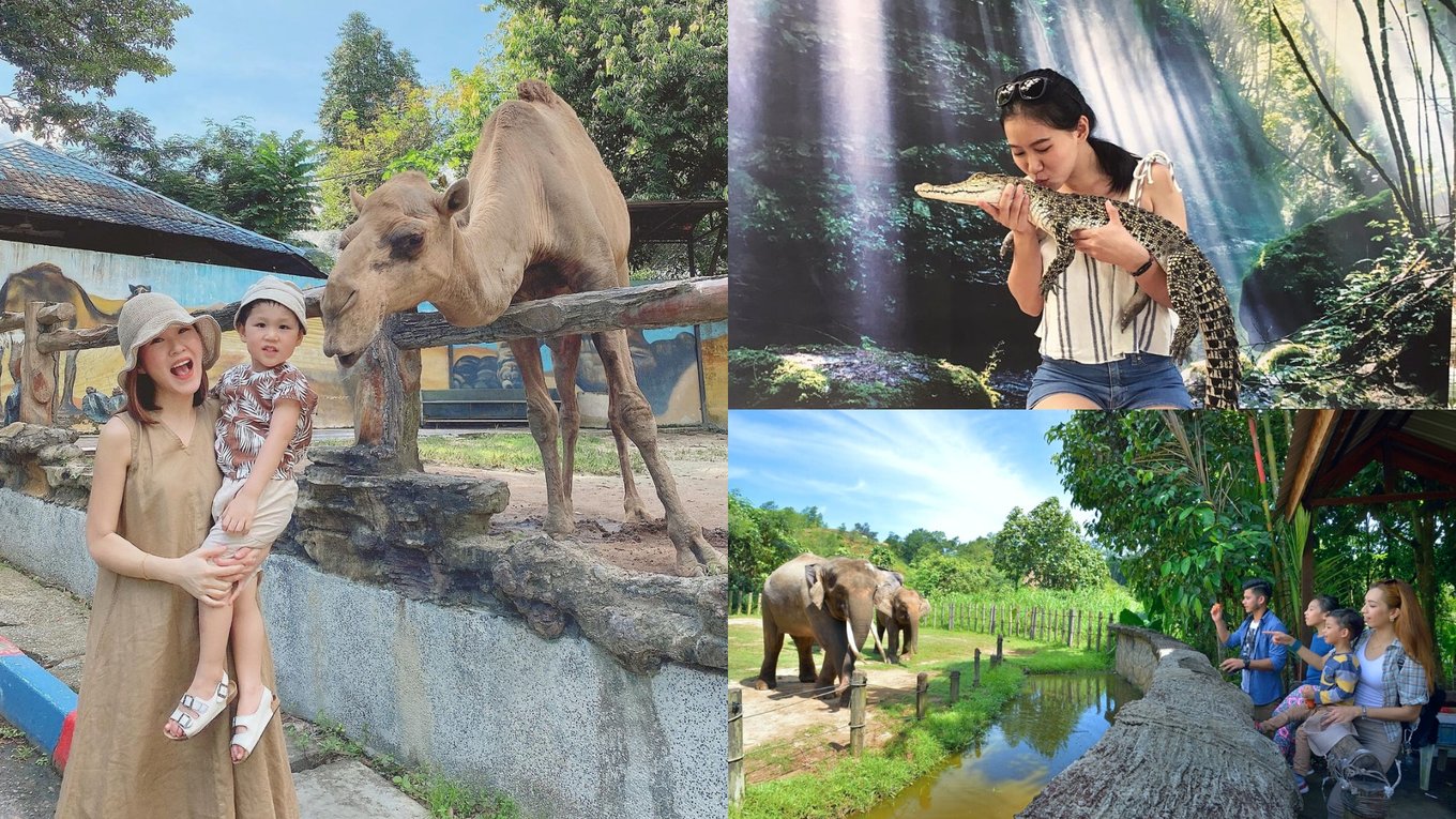 MY BM 10 Zoo & Taman Hidupan Liar Terbaik Di Malaysia