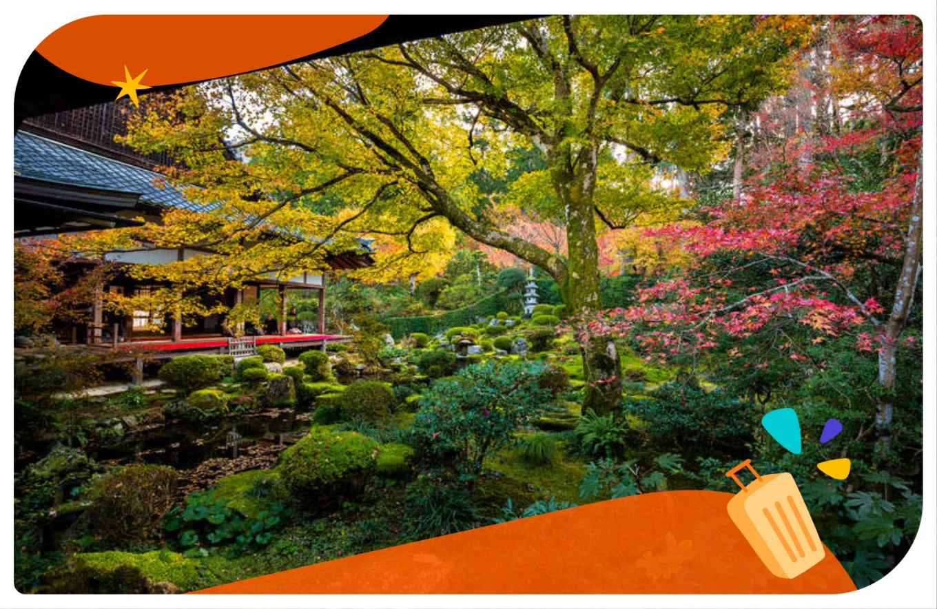 京都楓葉