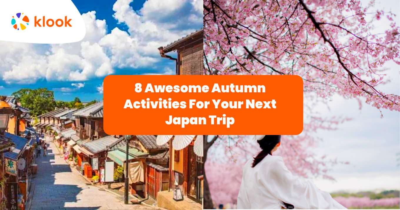 Street in japan and a beautiful cherry blossom tree