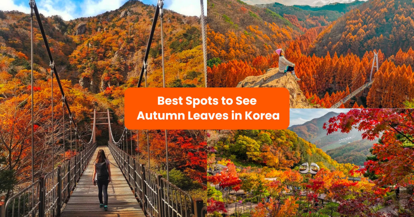 where to see autumn leaves in korea