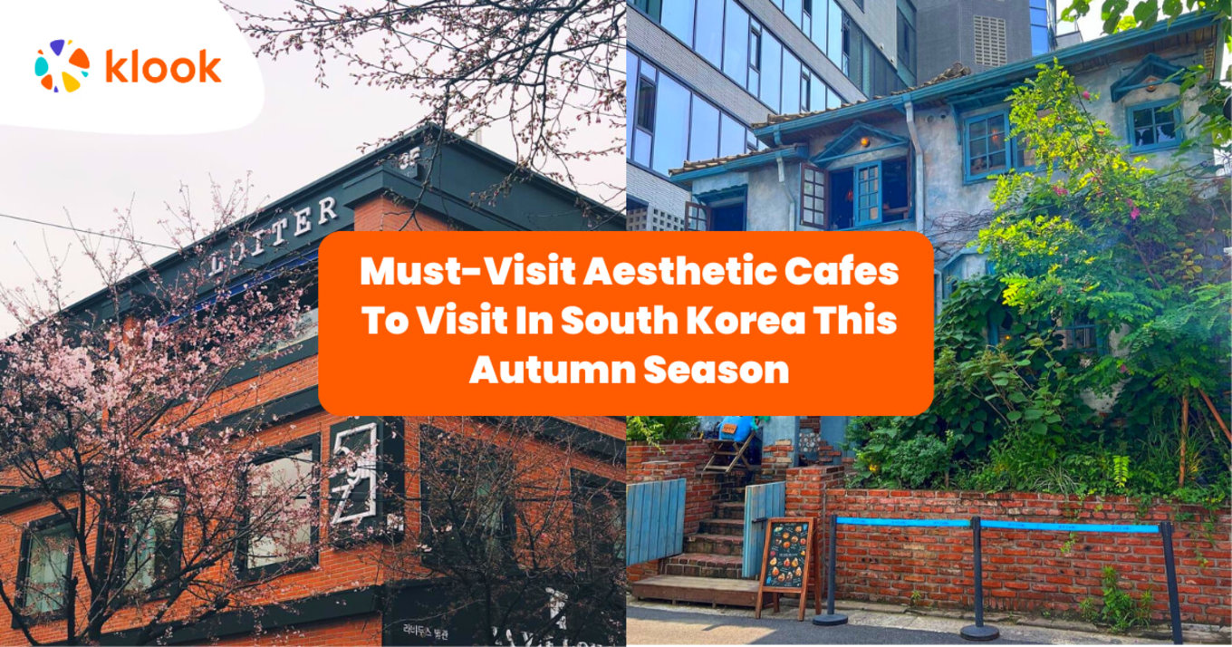 Idyllic Cafes in Seoul