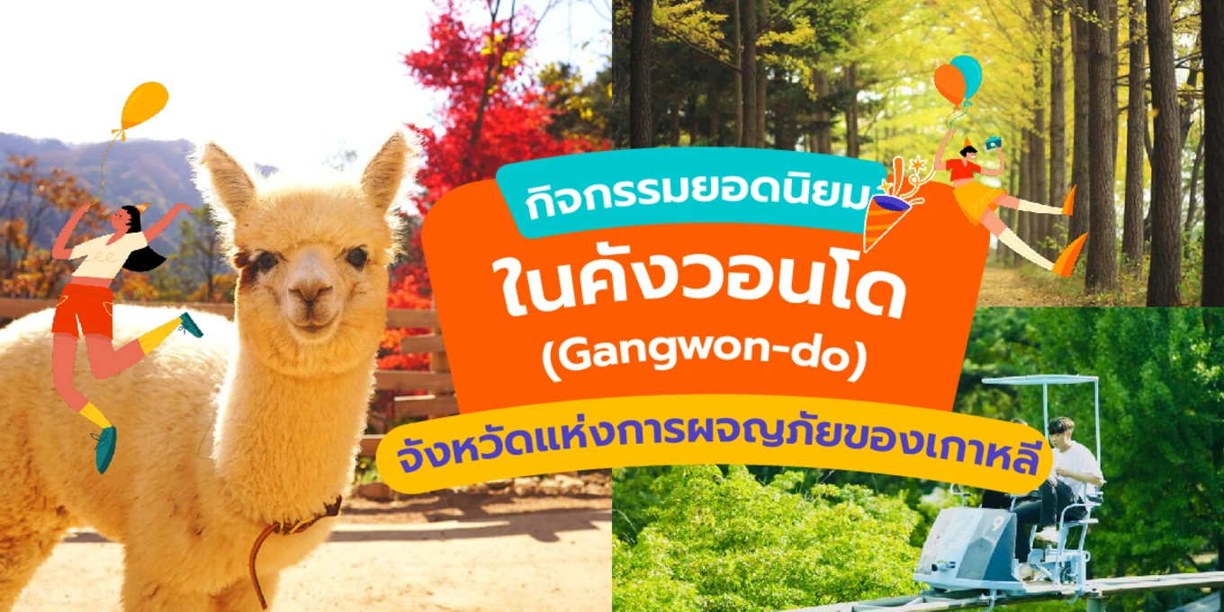 กิจกรรมยอดนิยมในคังวอนโด (Gangwon-do) : จังหวัดแห่งการผจญภัยของเกาหลี