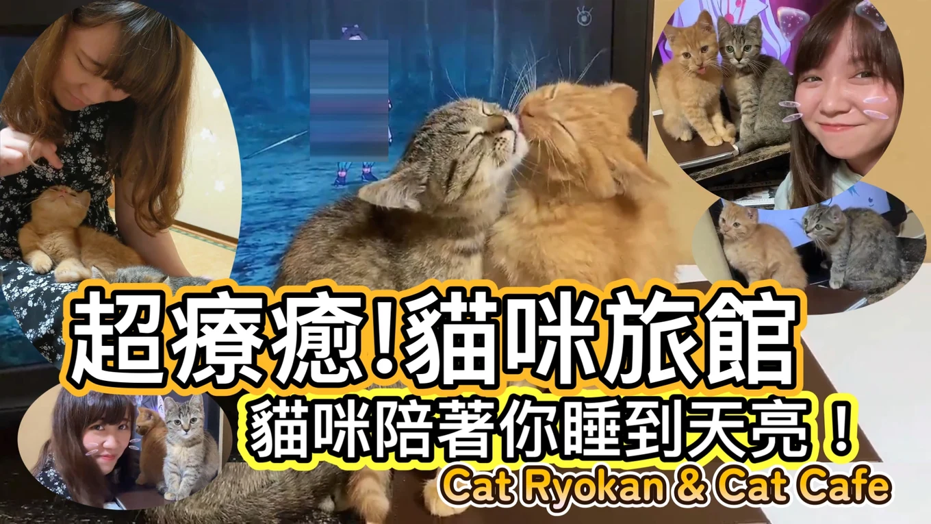 [hk] joykreator haruru