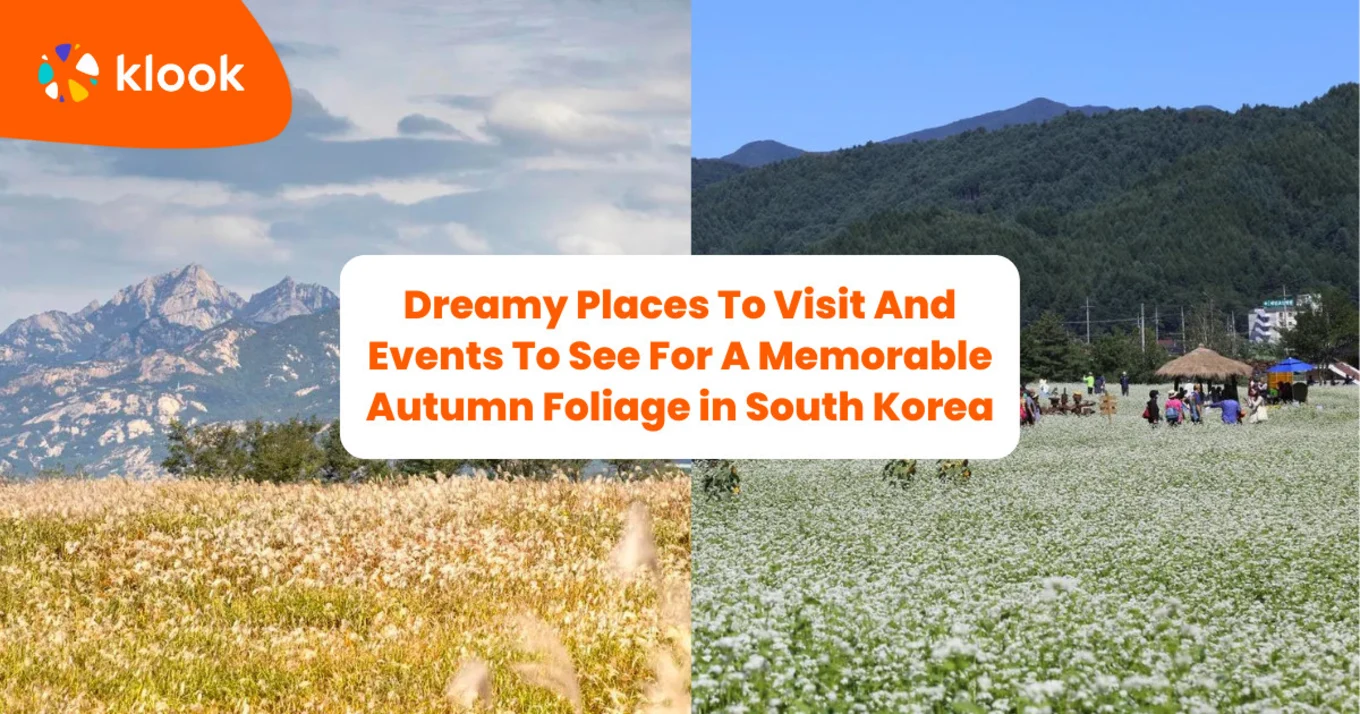 Dreamy places in South Korea