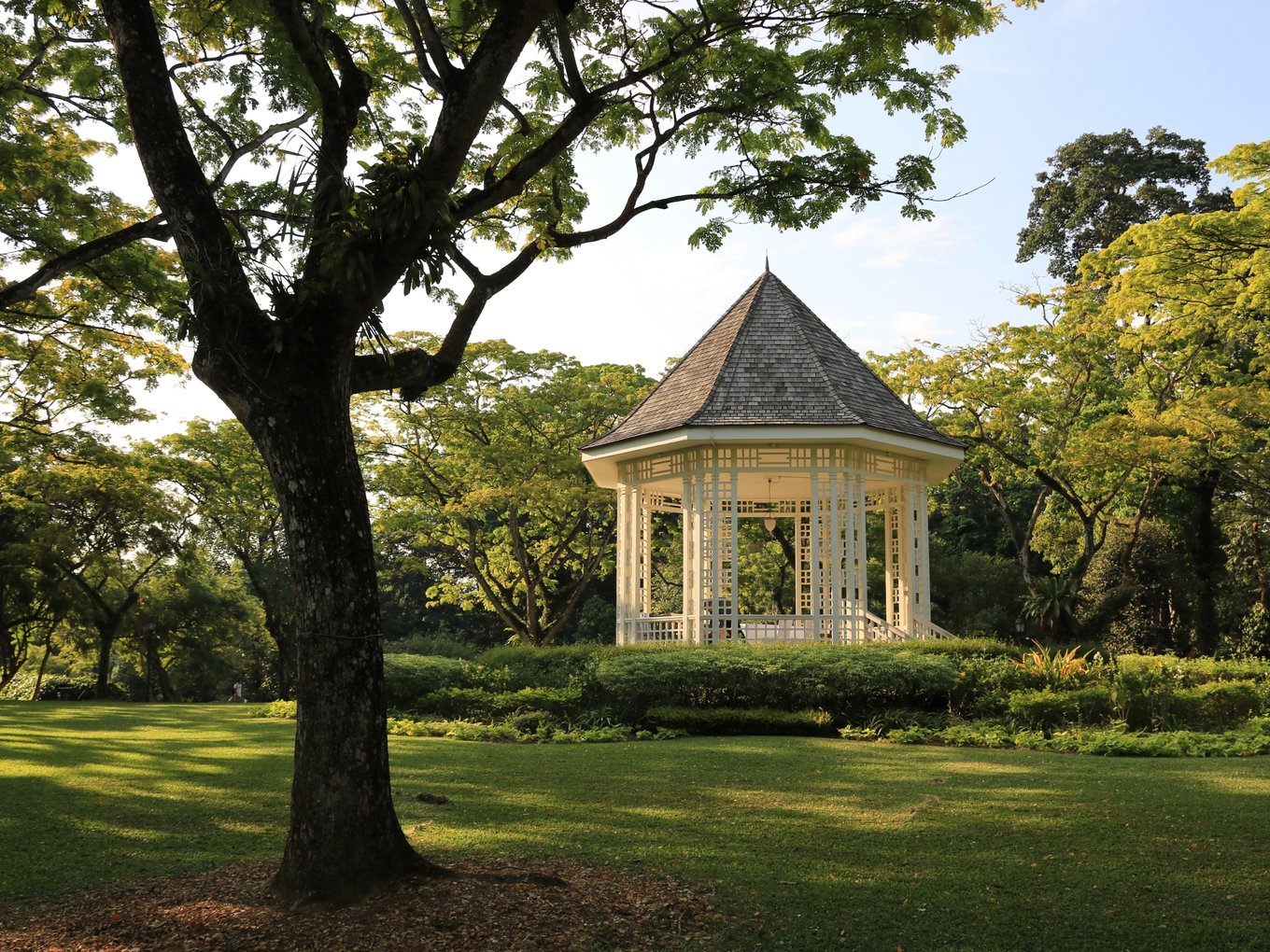 White Gazebo in Singapore Botanic Gardens